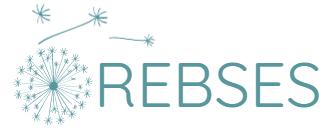 REBOSHOES